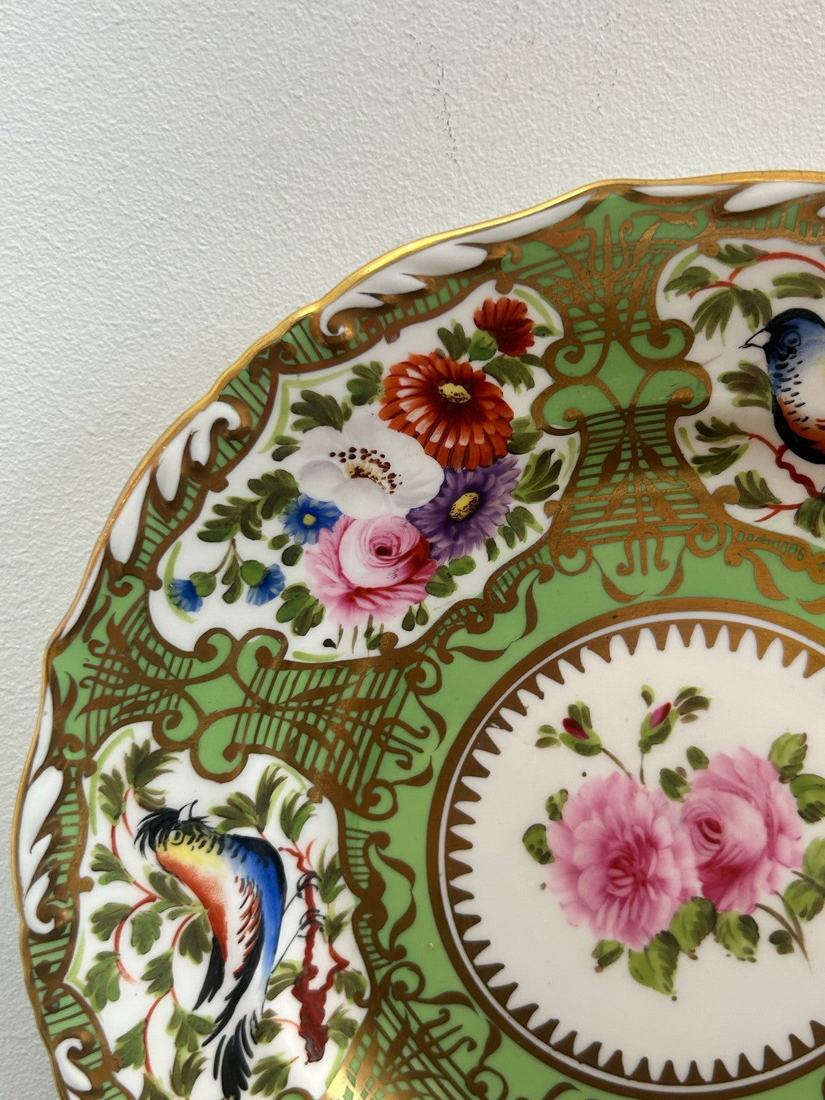 Regency Green Ground Exotic Bird Hand Painted Cabinet Plate c1820 Coalport Type3