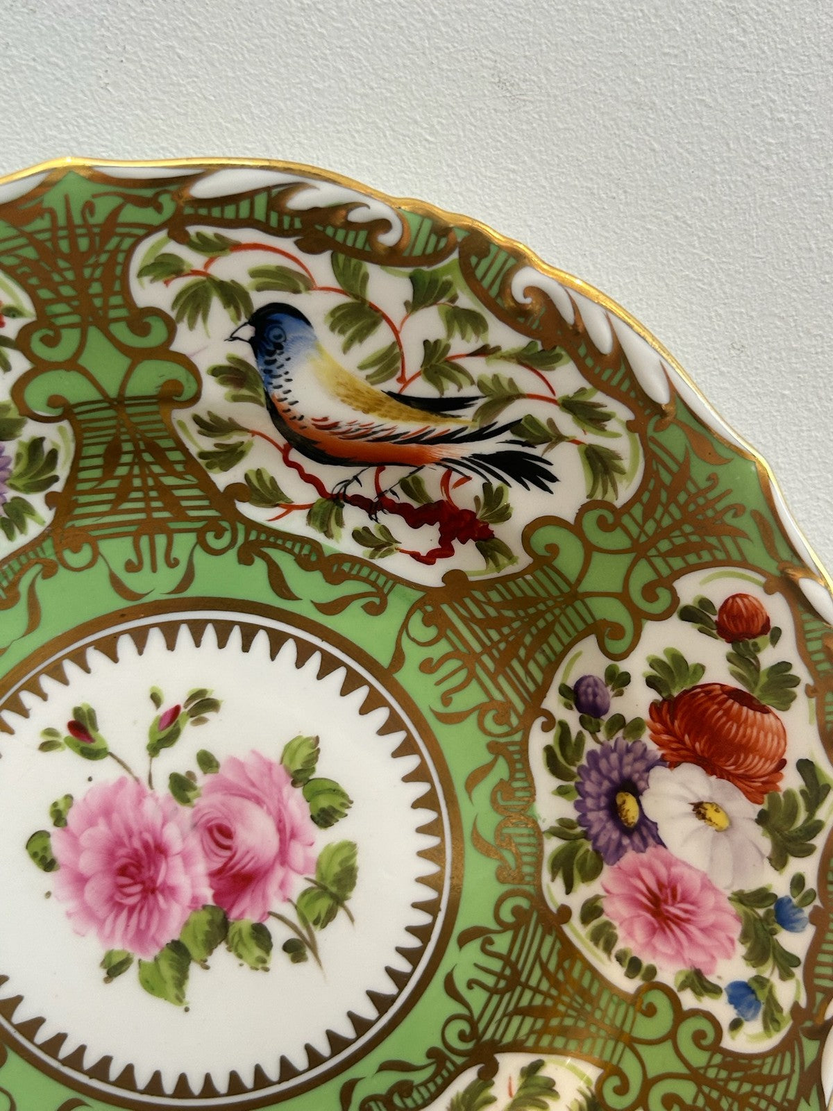 Regency Green Ground Exotic Bird Hand Painted Cabinet Plate c1820 Coalport Type4