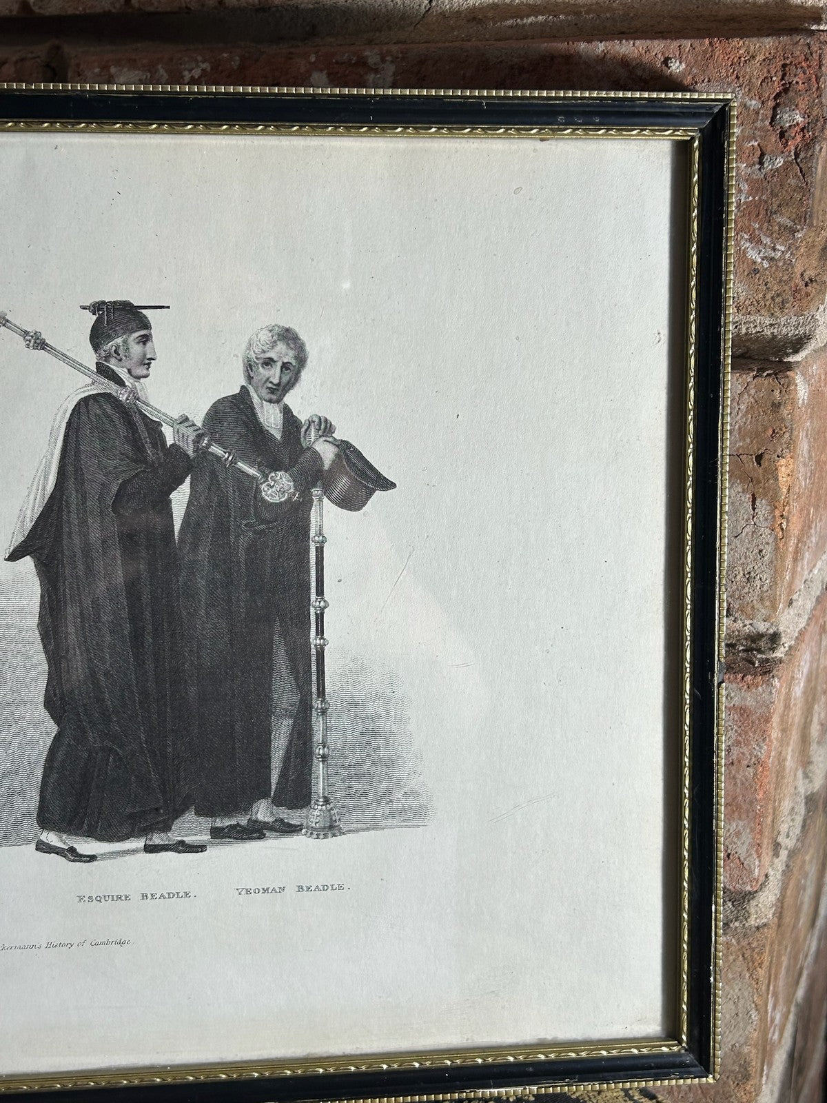 Ackermann History of Cambridge 1815 Aquatint Doctor in Divinity Beadles Framed7