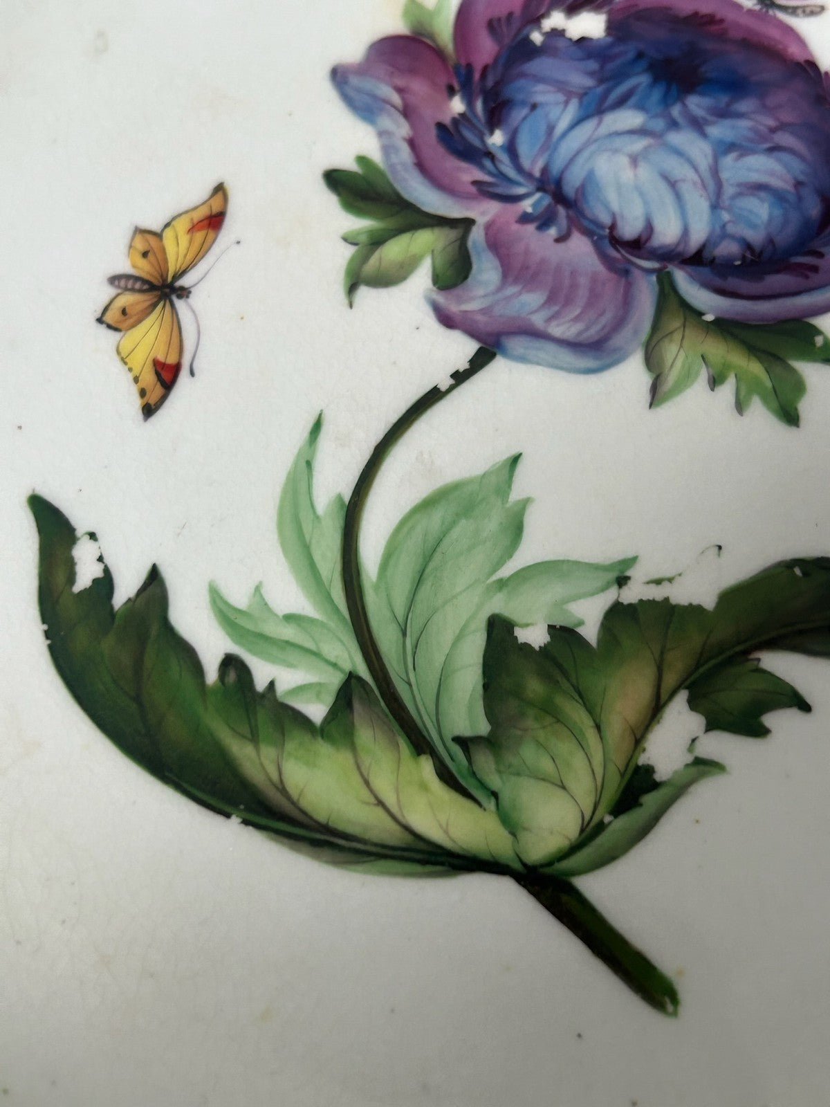 Bloor Derby Green Ground Botanical Plate Anemone Butterflies c.18303