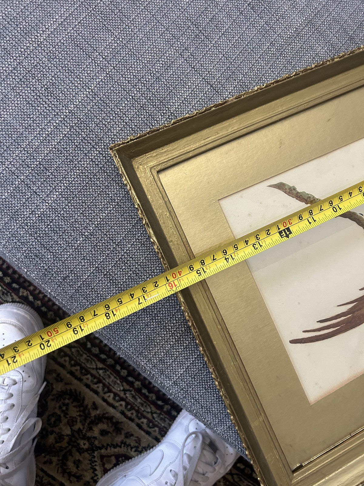 Antique Watercolour Golden Pheasant Painting in Gilt Frame c.1900