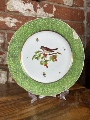 Descriptive image text