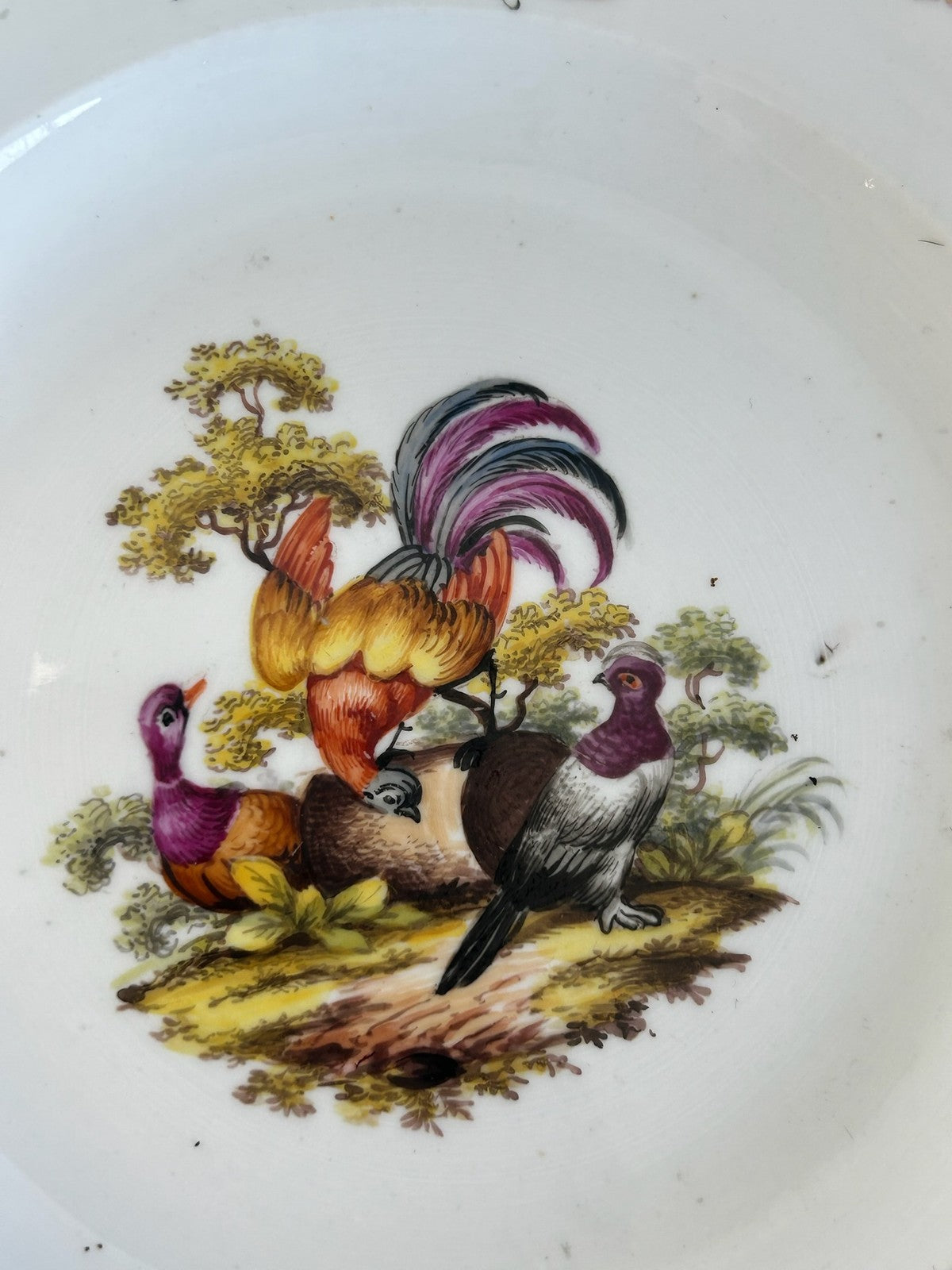 Antique Meissen Hand Painted Birds & Insects Plate Crossed Swords 20cm1