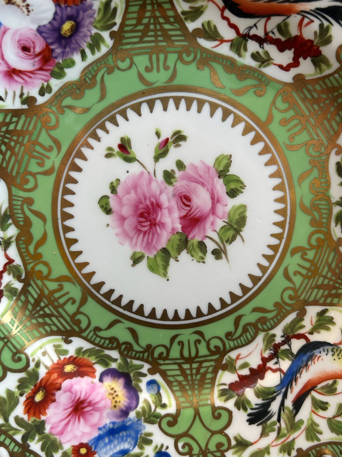 Regency Green Ground Exotic Bird Hand Painted Cabinet Plate c1820 Coalport Type2