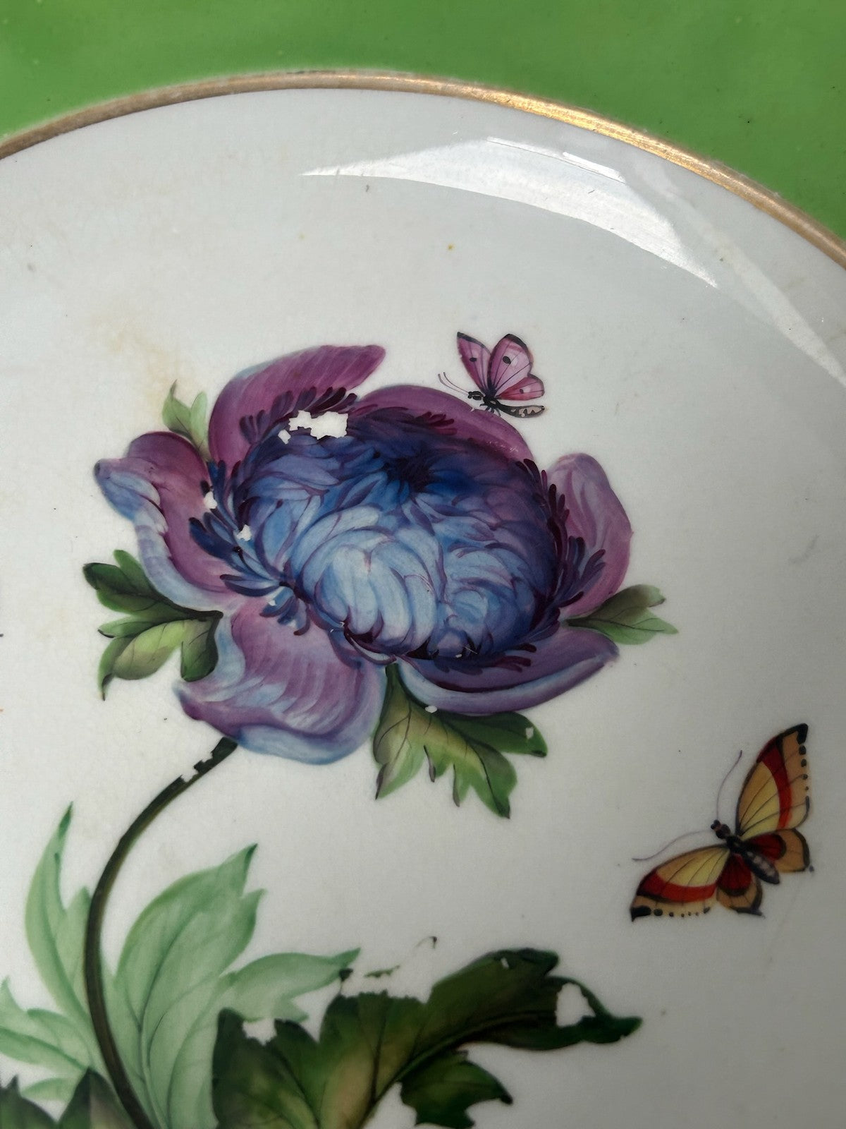 Bloor Derby Green Ground Botanical Plate Anemone Butterflies c.18304