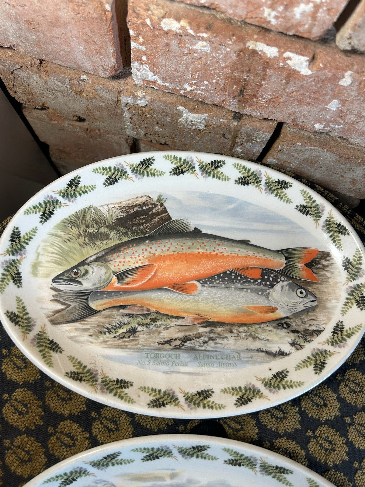 Portmeirion Compleat Angler Set of 3 Oval Fish Plates British Fishes Lydon2