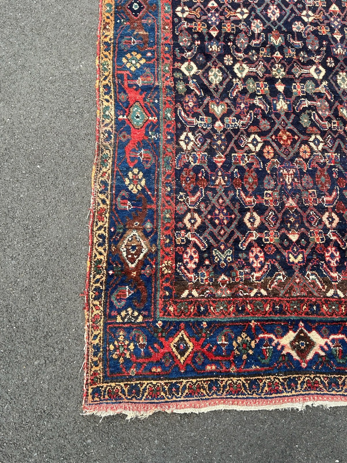 Antique Oriental Hand Knotted Herati Wool Rug Indigo Red Tribal c.1900 210x120cm3