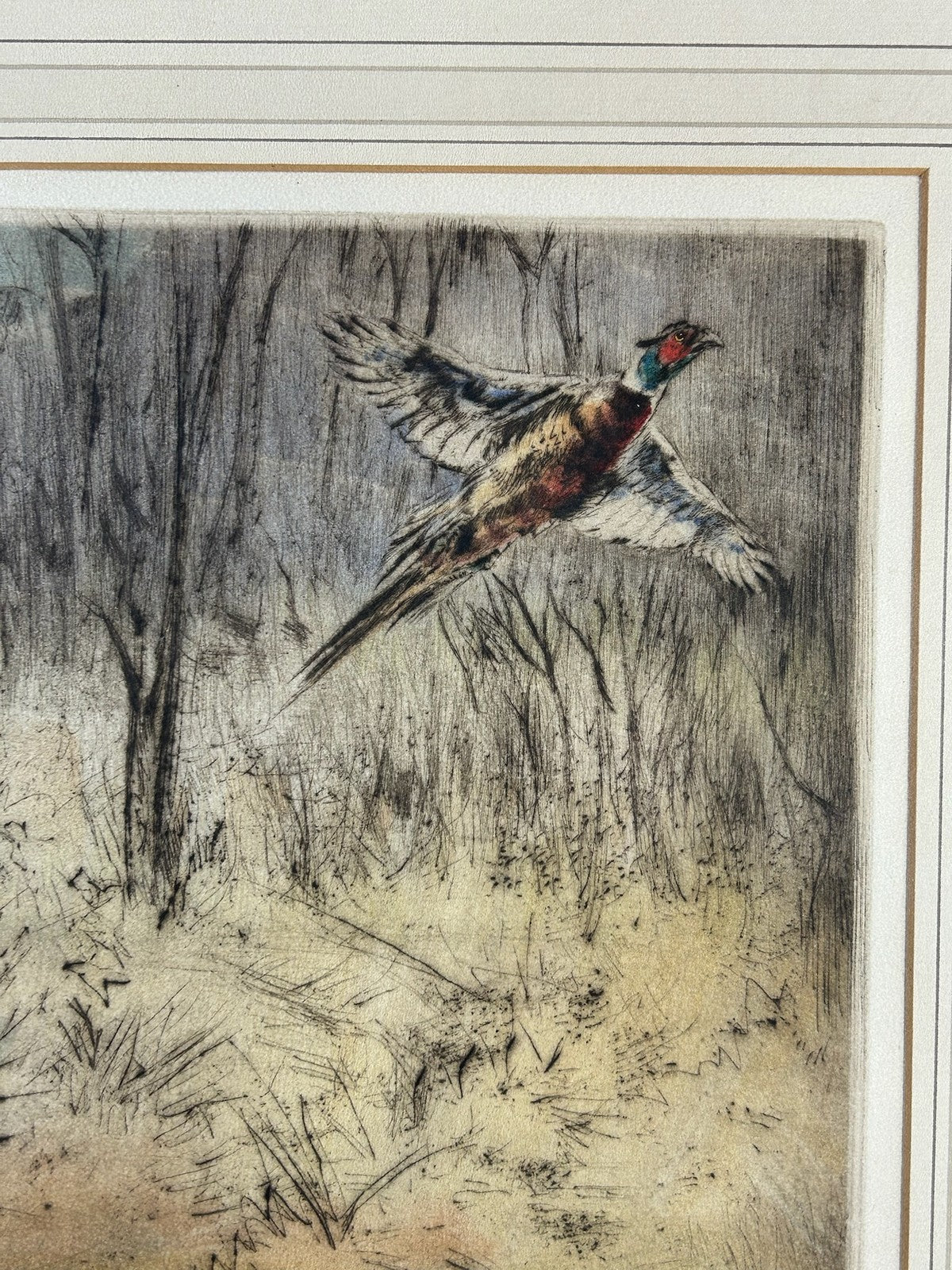 Henry Wilkinson RE Pencil Signed Colour Etching Spaniel Flushing Pheasant 40/1503