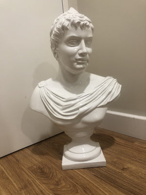 Descriptive image text