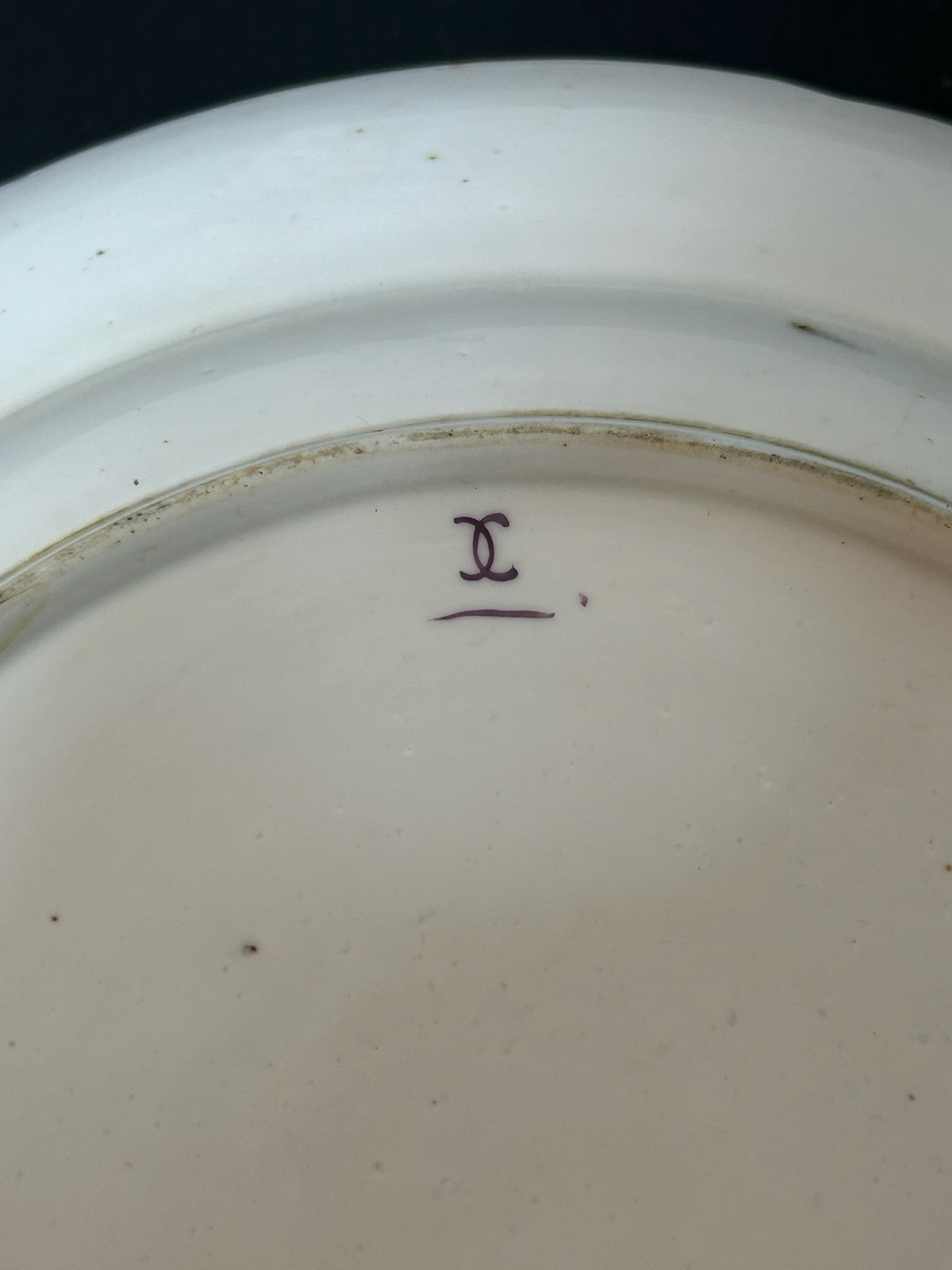 Pair Antique Plates Blue Cornflower Sprig Barbeau Pattern Blue Rim 24cm6