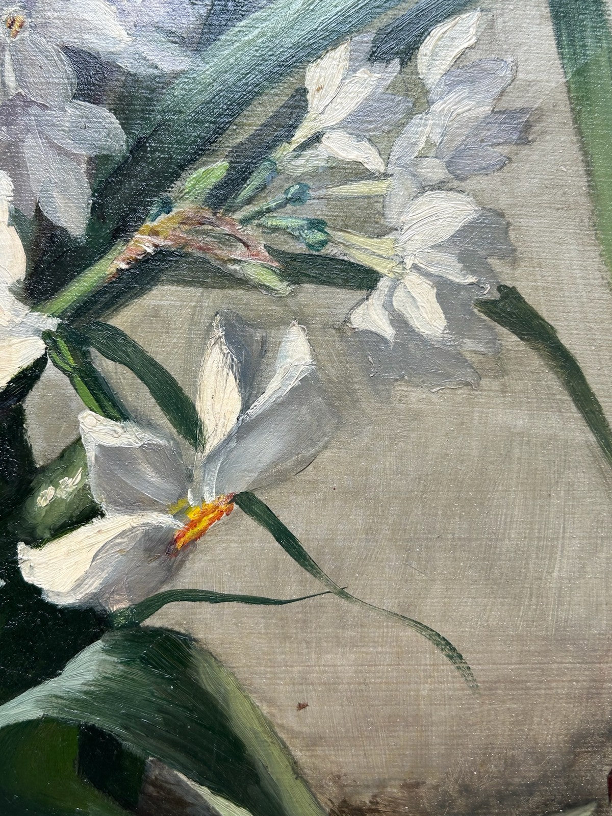 Oil on Canvas Still Life Narcissi & White Tulip Unstretched Monogram B4