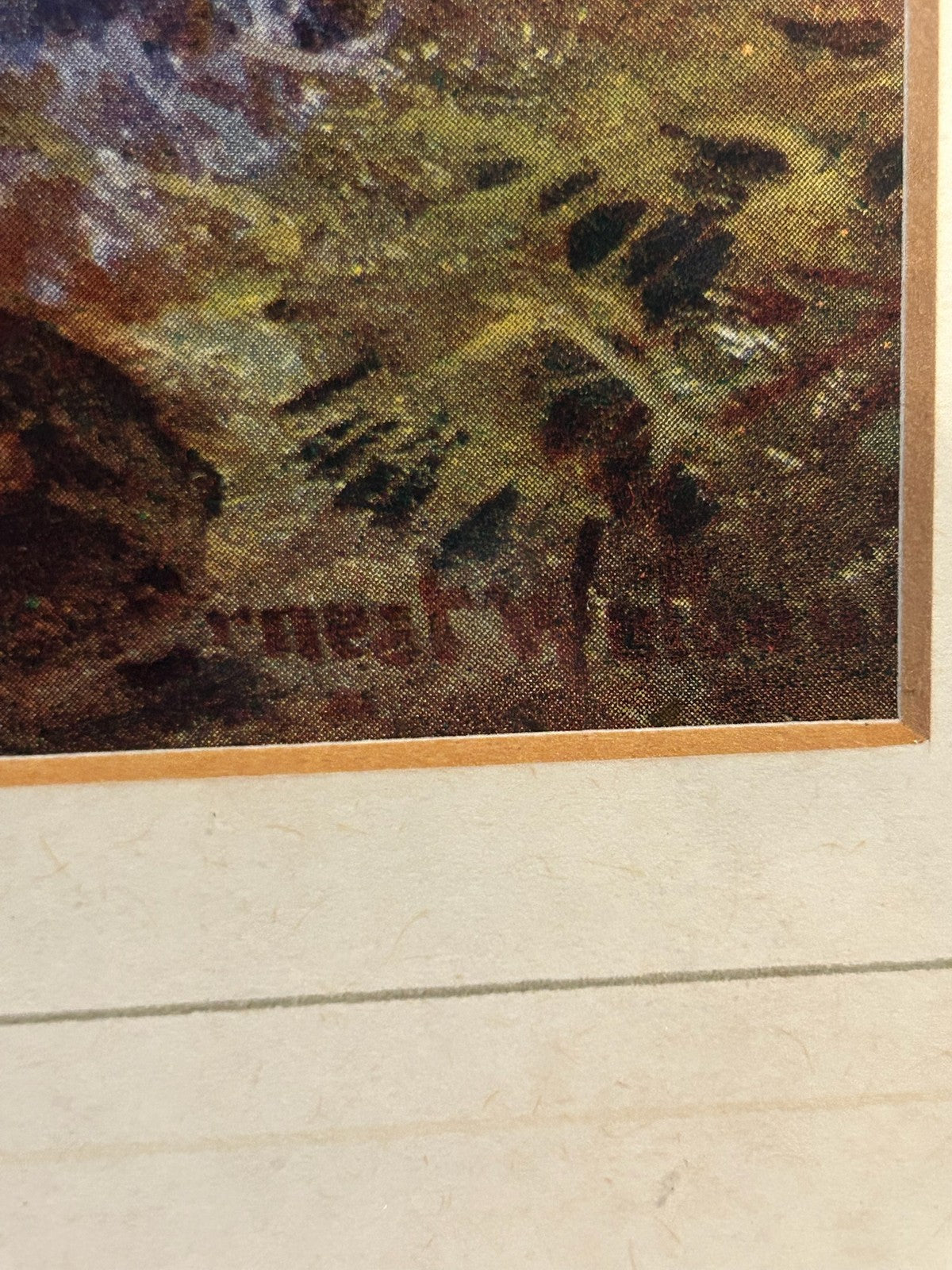 Antique Colour Print Autumn Woodland River Landscape Highland Stream Framed 56cm6