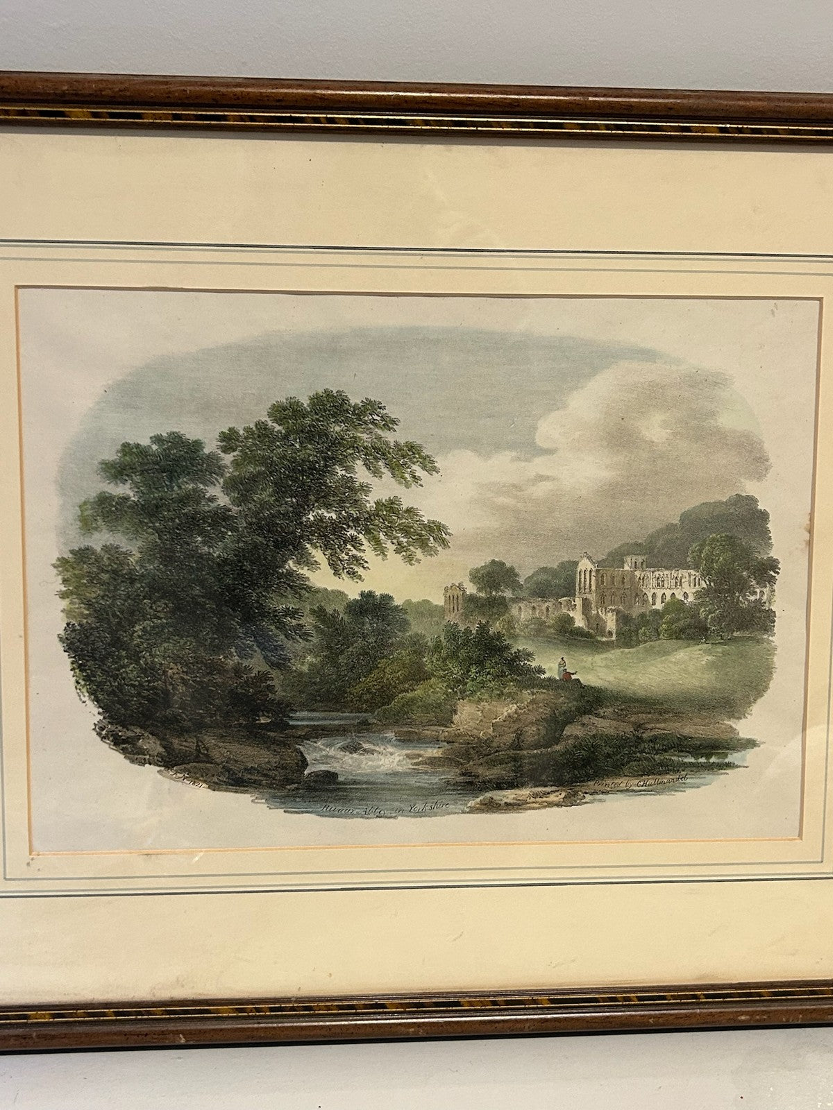 Antique Hand Coloured Print River Landscape Woodland Swan Gallery Label Framed1