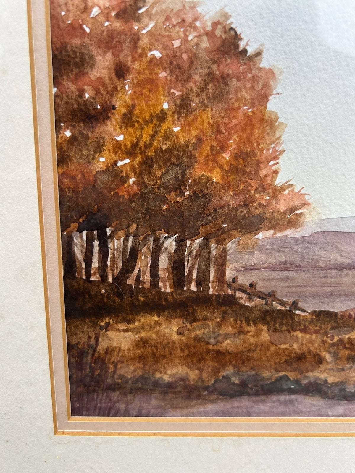 Chris Hardwick "Autumn Morning" Watercolour Hertsmere Society of Art1