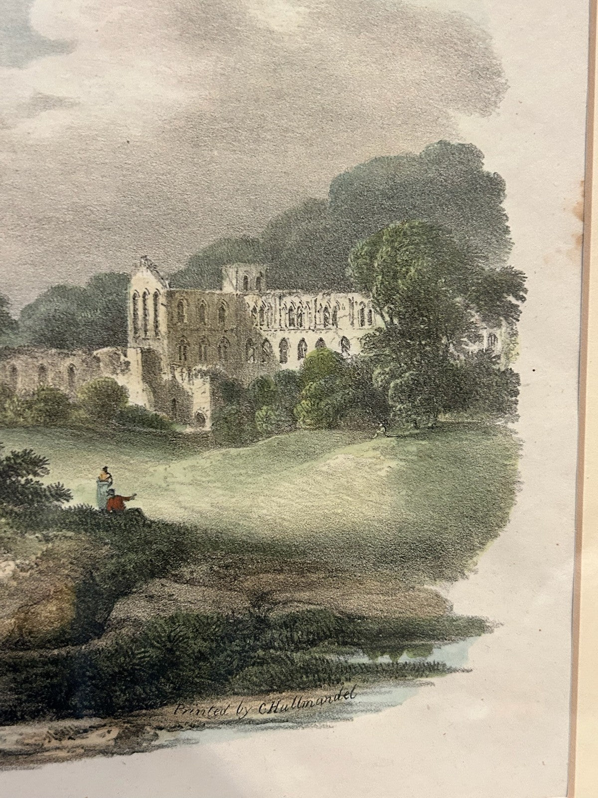 Antique Hand Coloured Print River Landscape Woodland Swan Gallery Label Framed4