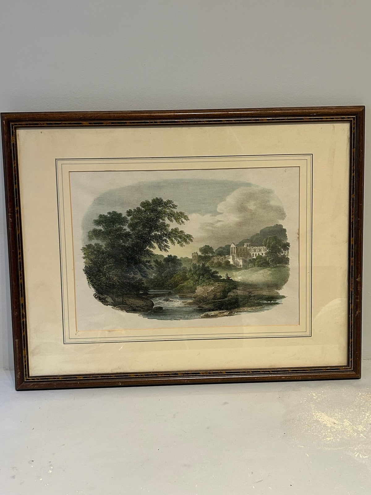 Antique Hand Coloured Print River Landscape Woodland Swan Gallery Label Framed0