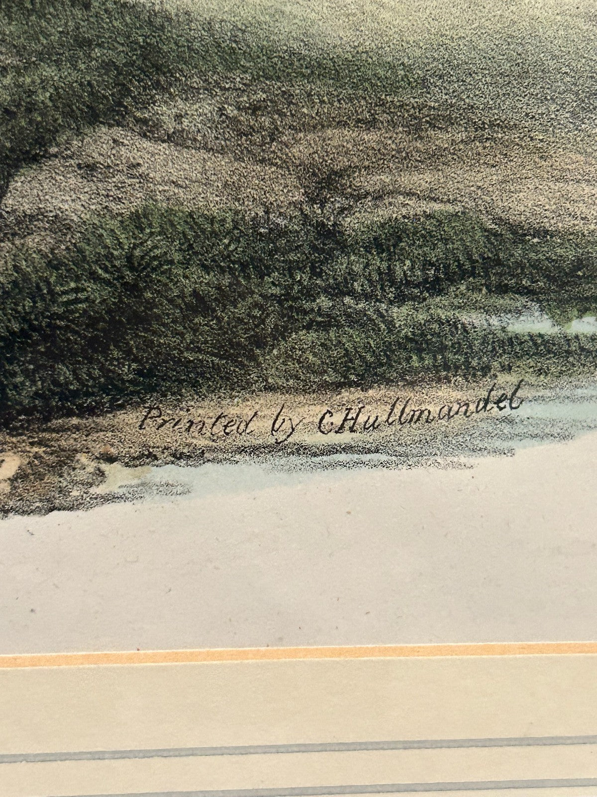 Antique Hand Coloured Print River Landscape Woodland Swan Gallery Label Framed5