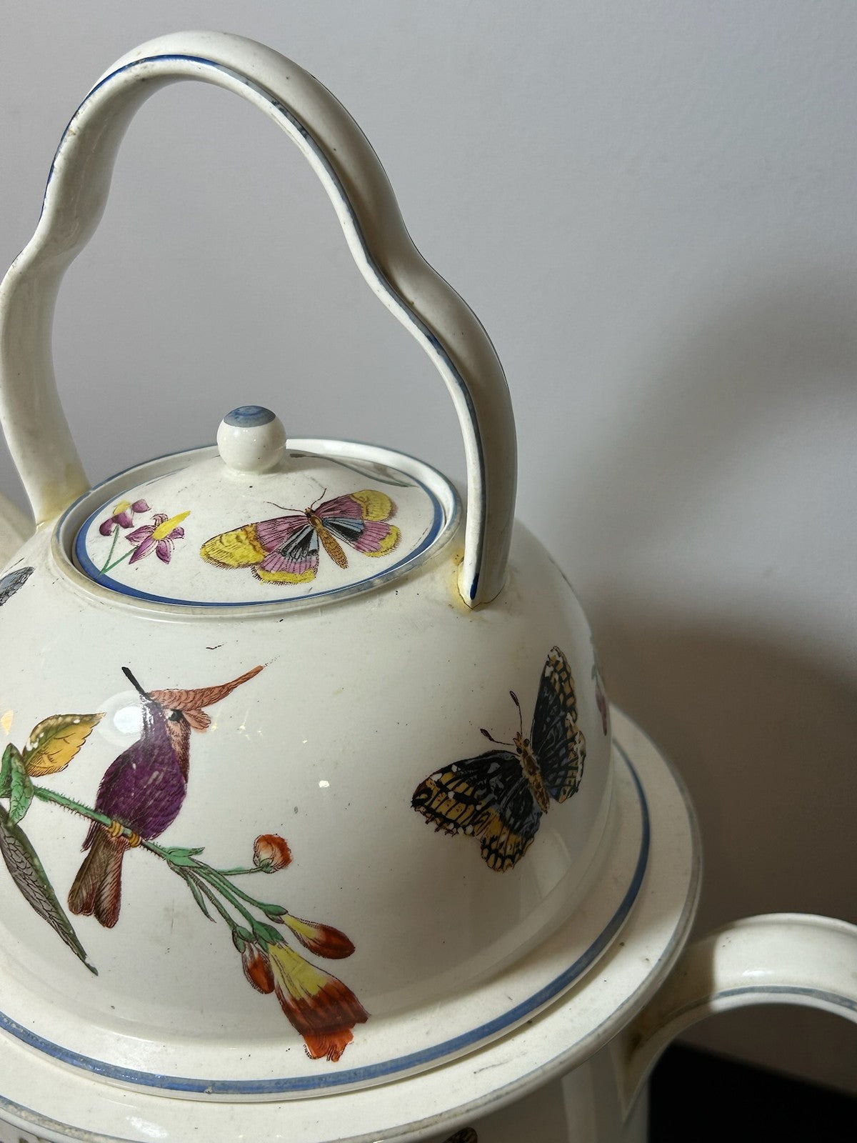 Antique Wedgwood Creamware Veilleuse Tea Warmer Painted Birds Butterflies c18206