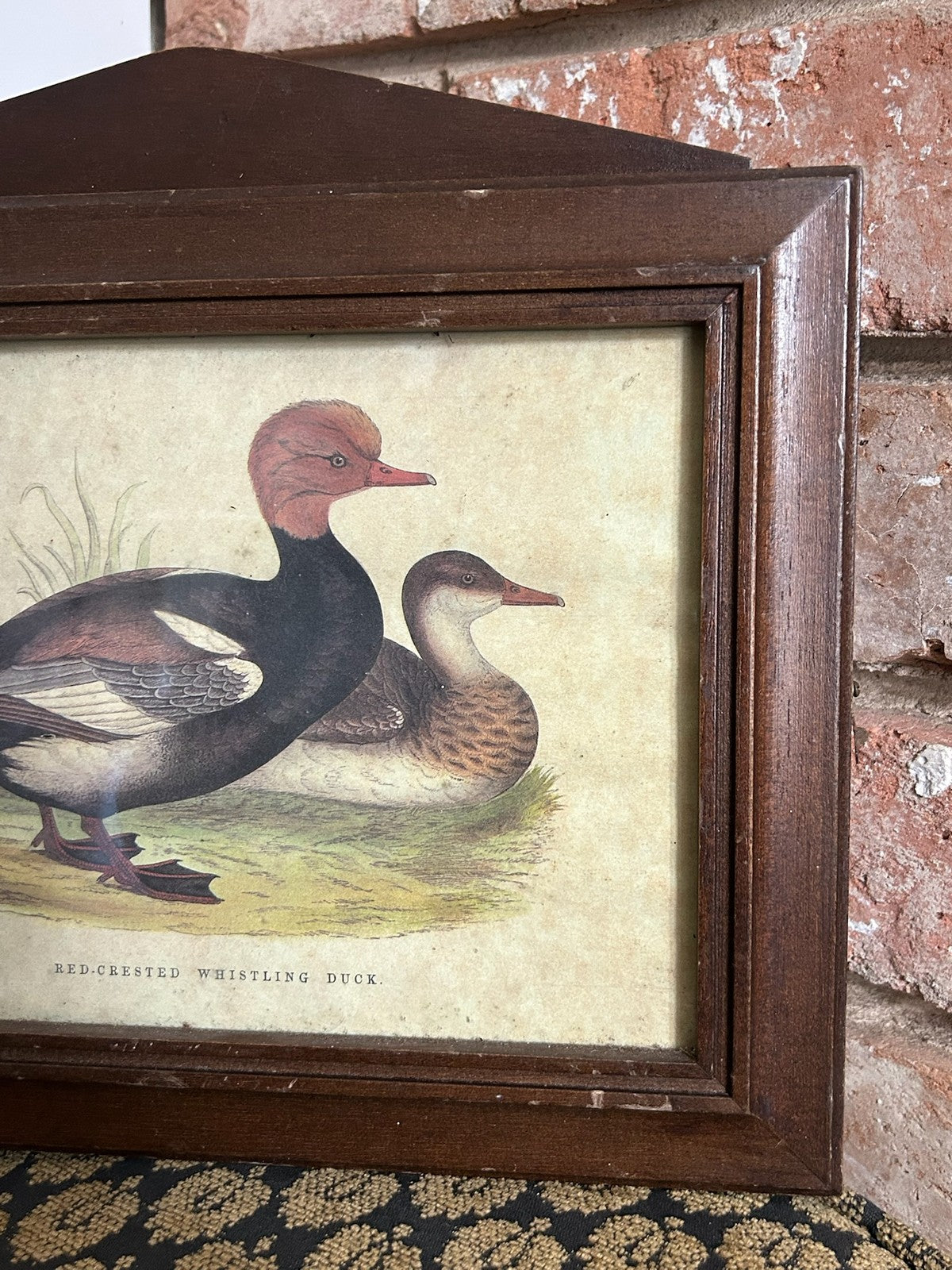 Vintage Italian Handmade Wooden Wall Cabinet Red Crested Whistling Duck Print1