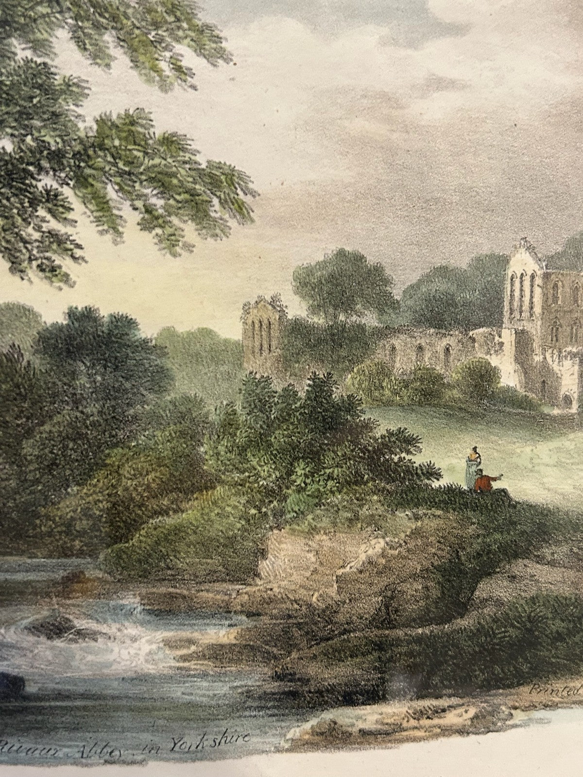 Antique Hand Coloured Print River Landscape Woodland Swan Gallery Label Framed3