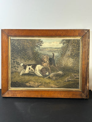 Antique Sporting Print Spaniel & Terrier With Rabbit Colour Print Maple Frame