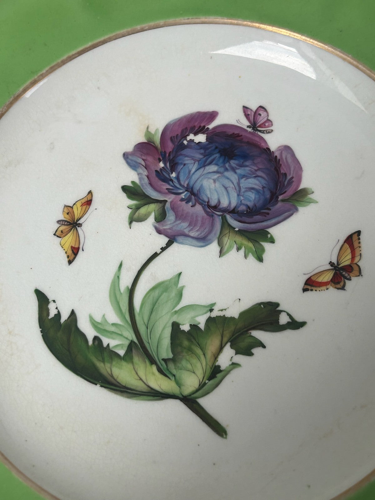 Bloor Derby Green Ground Botanical Plate Anemone Butterflies c.18302