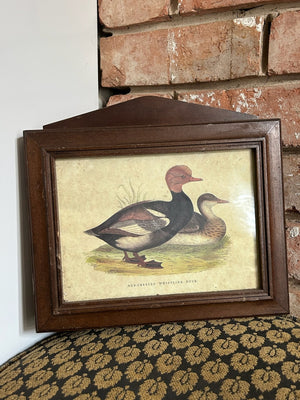 Vintage Italian Handmade Wooden Wall Cabinet Red Crested Whistling Duck Print