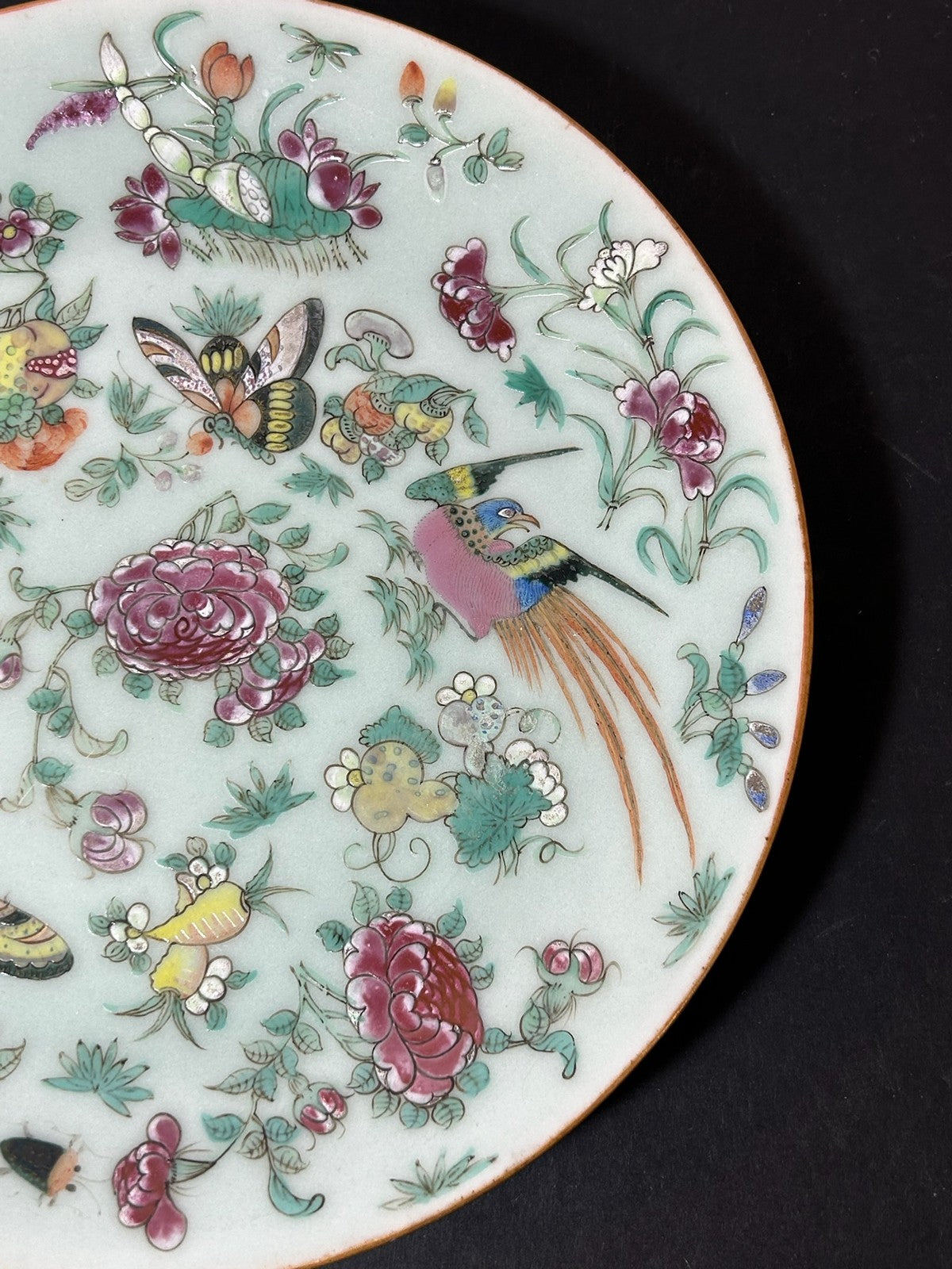 Antique Chinese Canton Famille Rose Plate Butterflies Birds Celadon Ground 24cm2