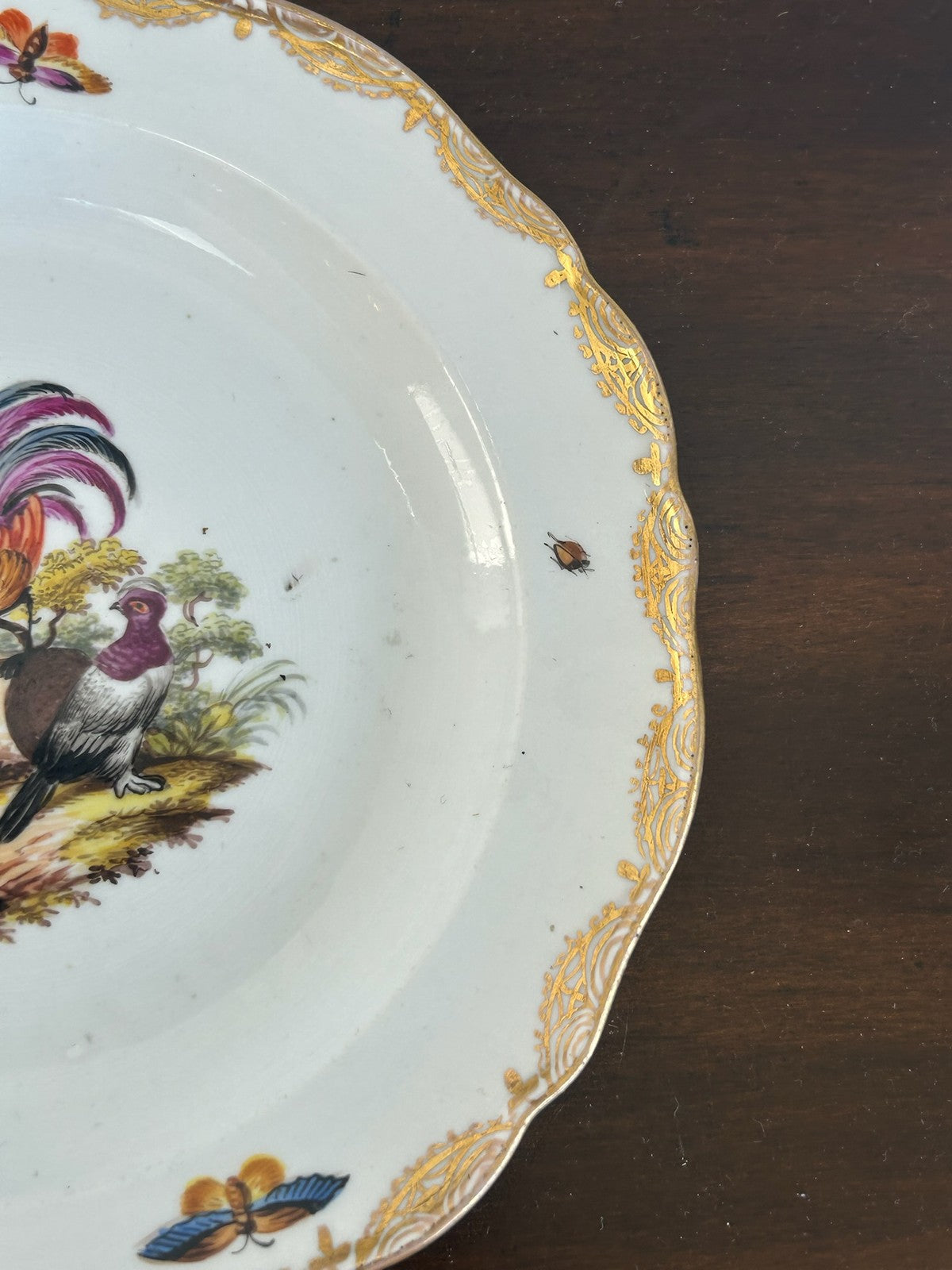 Antique Meissen Hand Painted Birds & Insects Plate Crossed Swords 20cm6