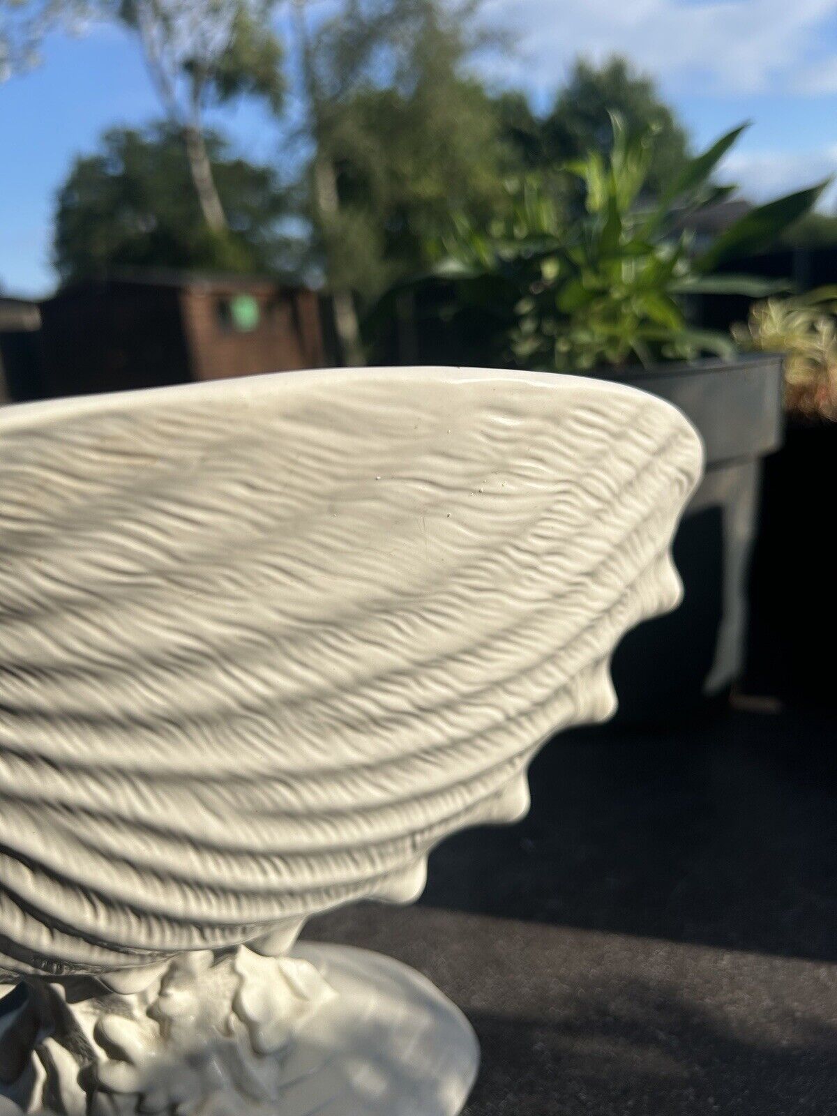 Wedgwood Nautilus Shell Pedestal Bowl