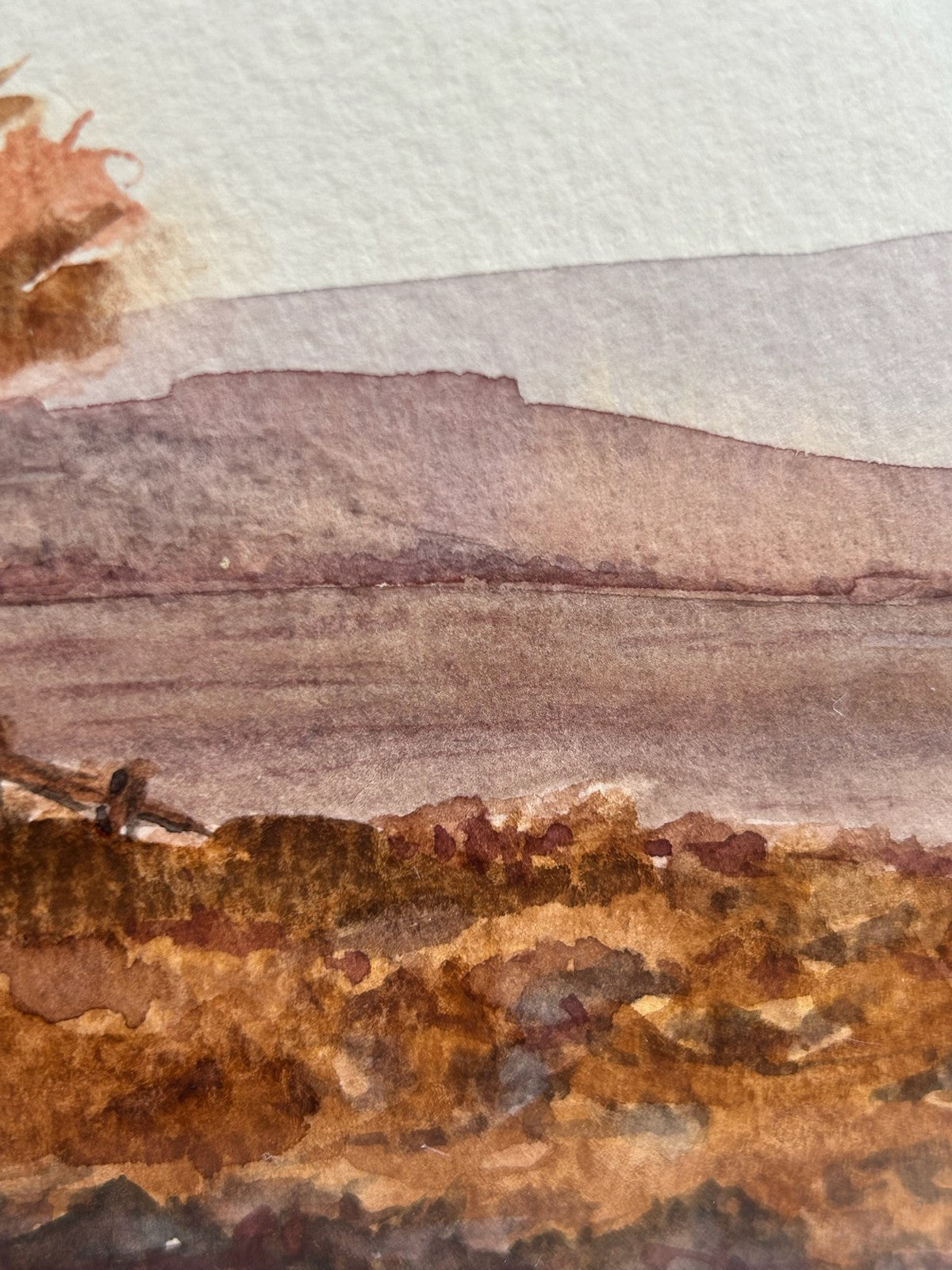 Chris Hardwick "Autumn Morning" Watercolour Hertsmere Society of Art3