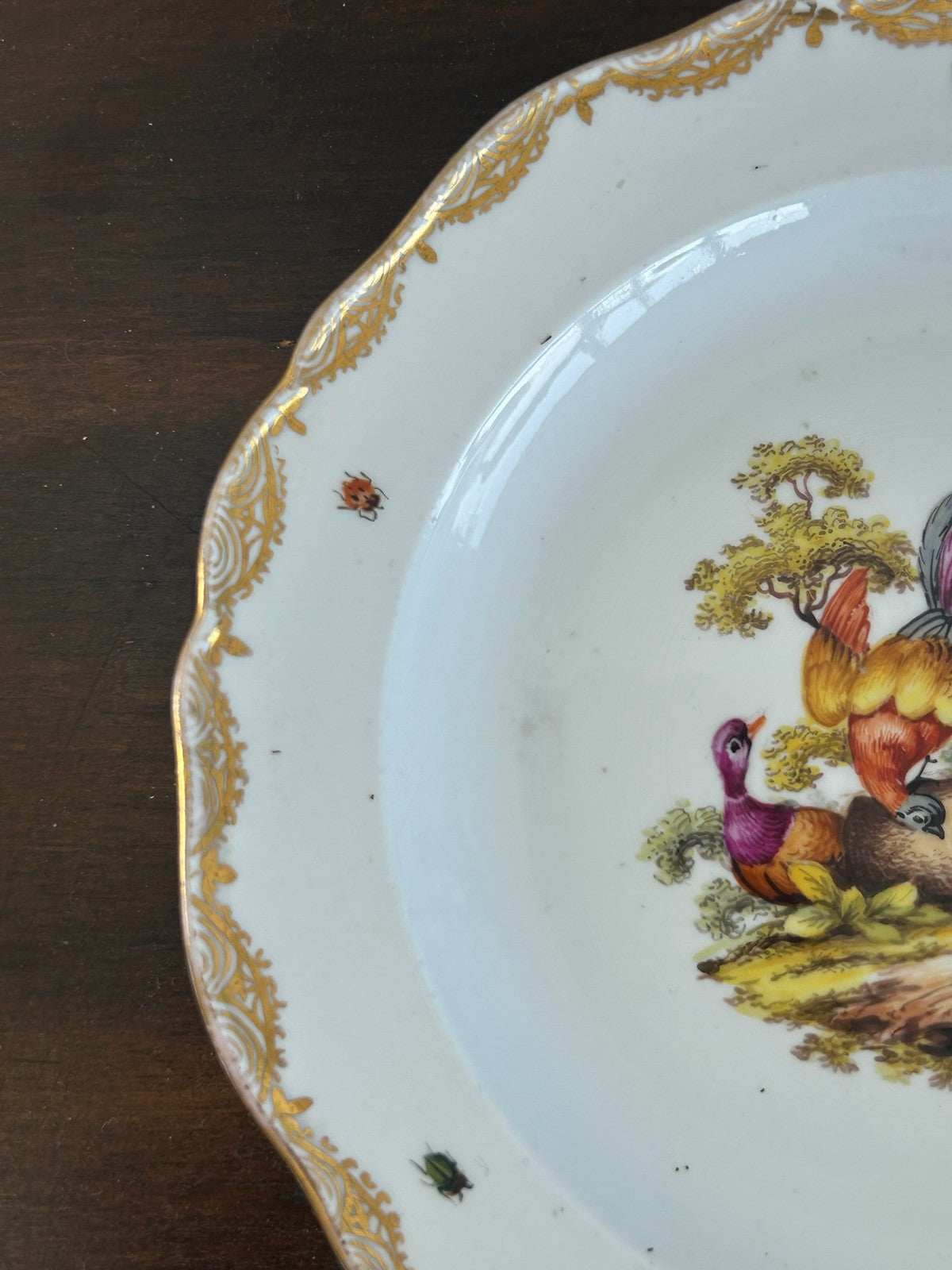 Antique Meissen Hand Painted Birds & Insects Plate Crossed Swords 20cm4