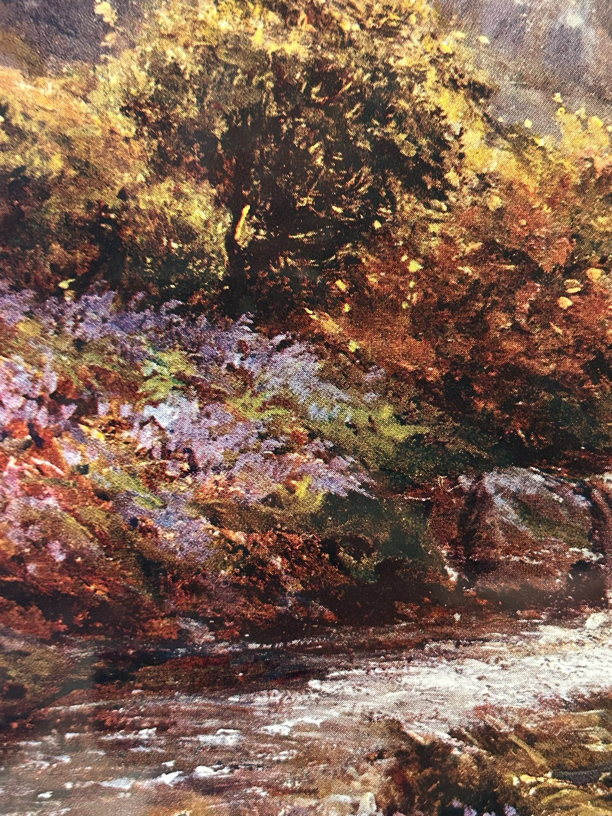 Antique Colour Print Autumn Woodland River Landscape Highland Stream Framed 56cm3