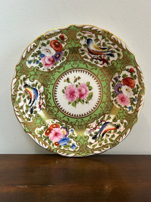 Regency Green Ground Exotic Bird Hand Painted Cabinet Plate c1820 Coalport Type