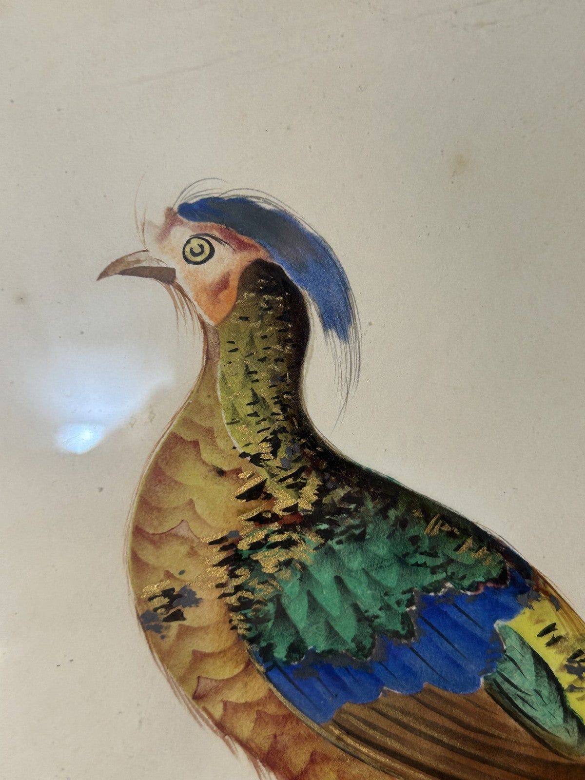 Antique Watercolour Golden Pheasant Painting in Gilt Frame c.1900
