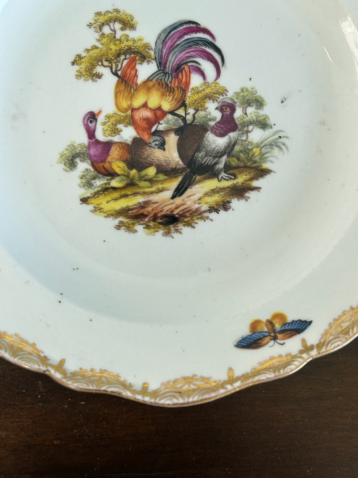 Antique Meissen Hand Painted Birds & Insects Plate Crossed Swords 20cm5