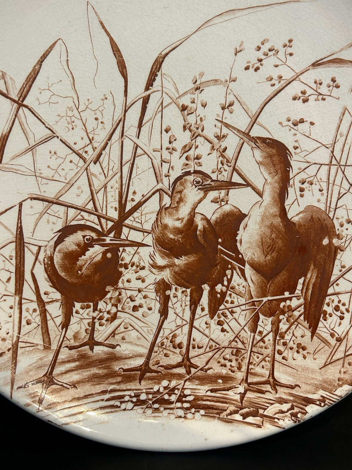 Victorian W&W Alton Pattern Brown Transfer Plate Storks 1886 A/F1