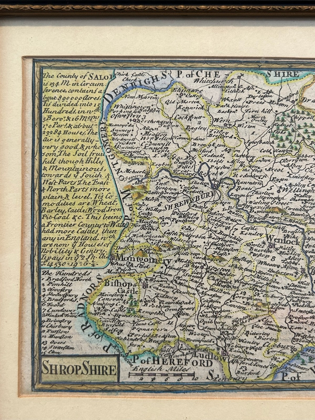 Shropshire Antique County Map 18th Century Hand Coloured Framed Small1