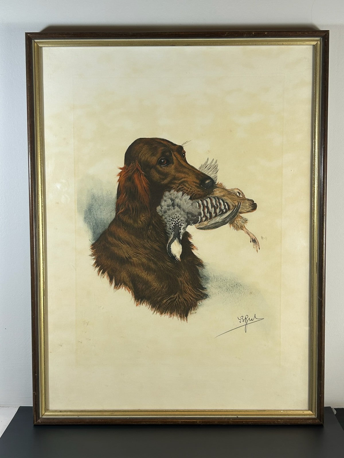 Irish Red Setter With Woodcock Signed Colour Print Gundog Sporting Framed0
