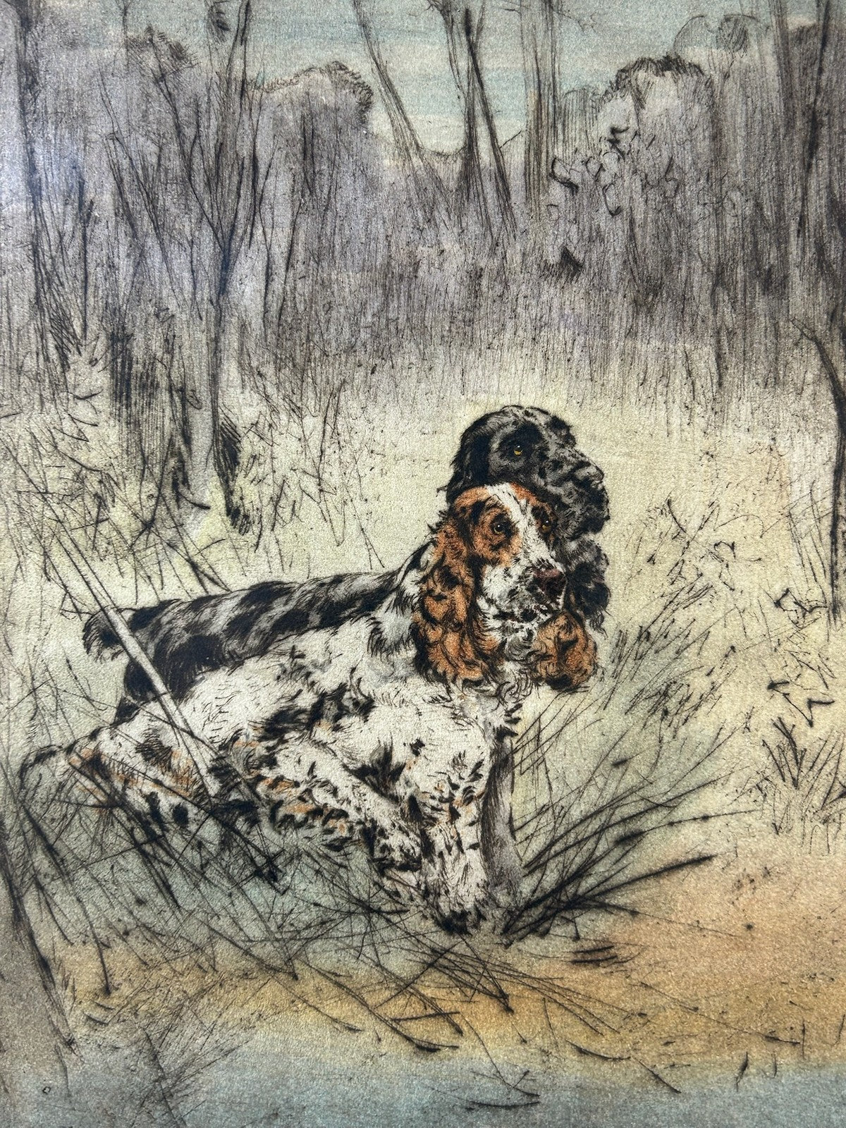 Henry Wilkinson RE Pencil Signed Colour Etching Spaniel Flushing Pheasant 40/1502