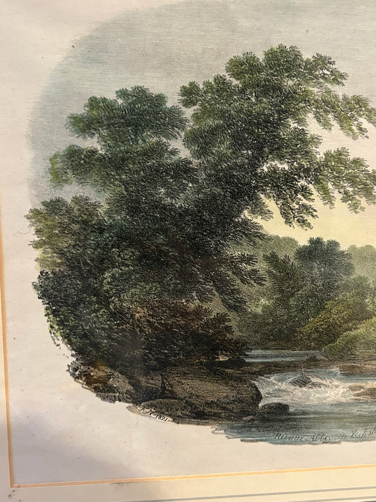 Antique Hand Coloured Print River Landscape Woodland Swan Gallery Label Framed2