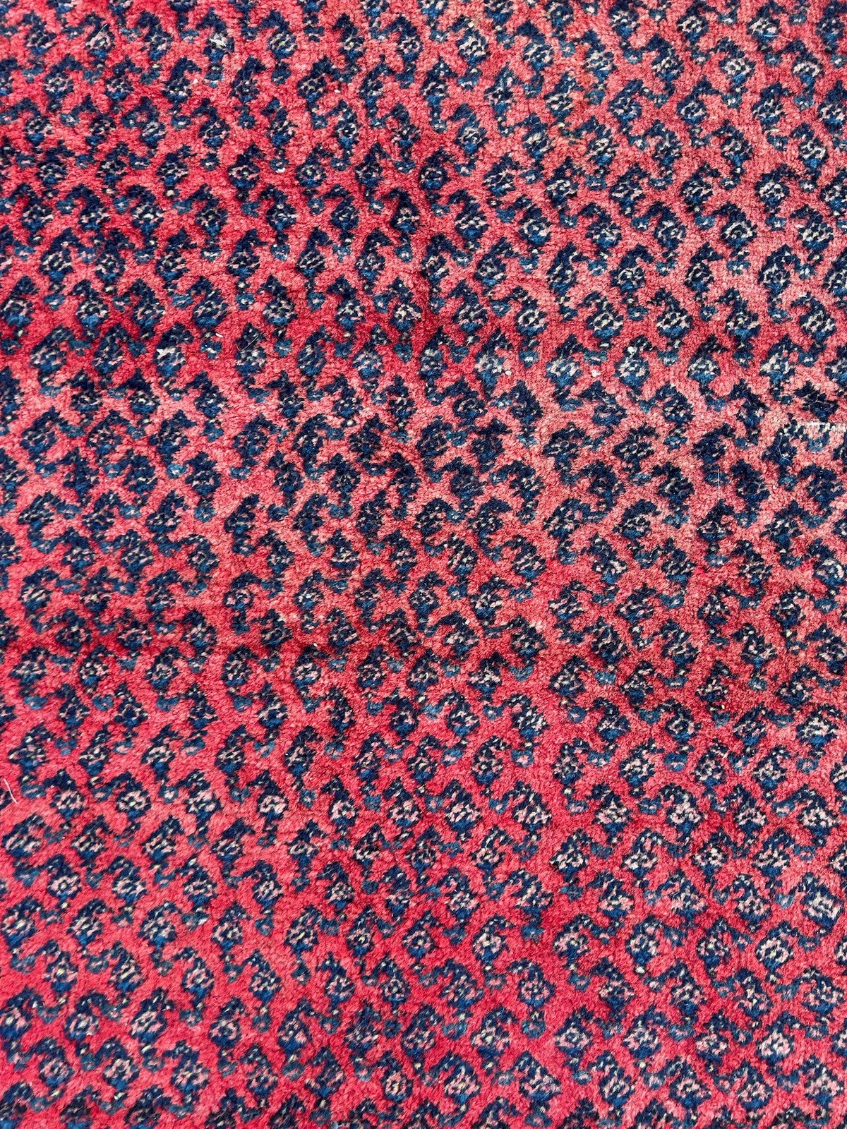 Antique Oriental Hand Knotted Boteh Mir Wool Rug Red Indigo NTC Label 212x135cm7