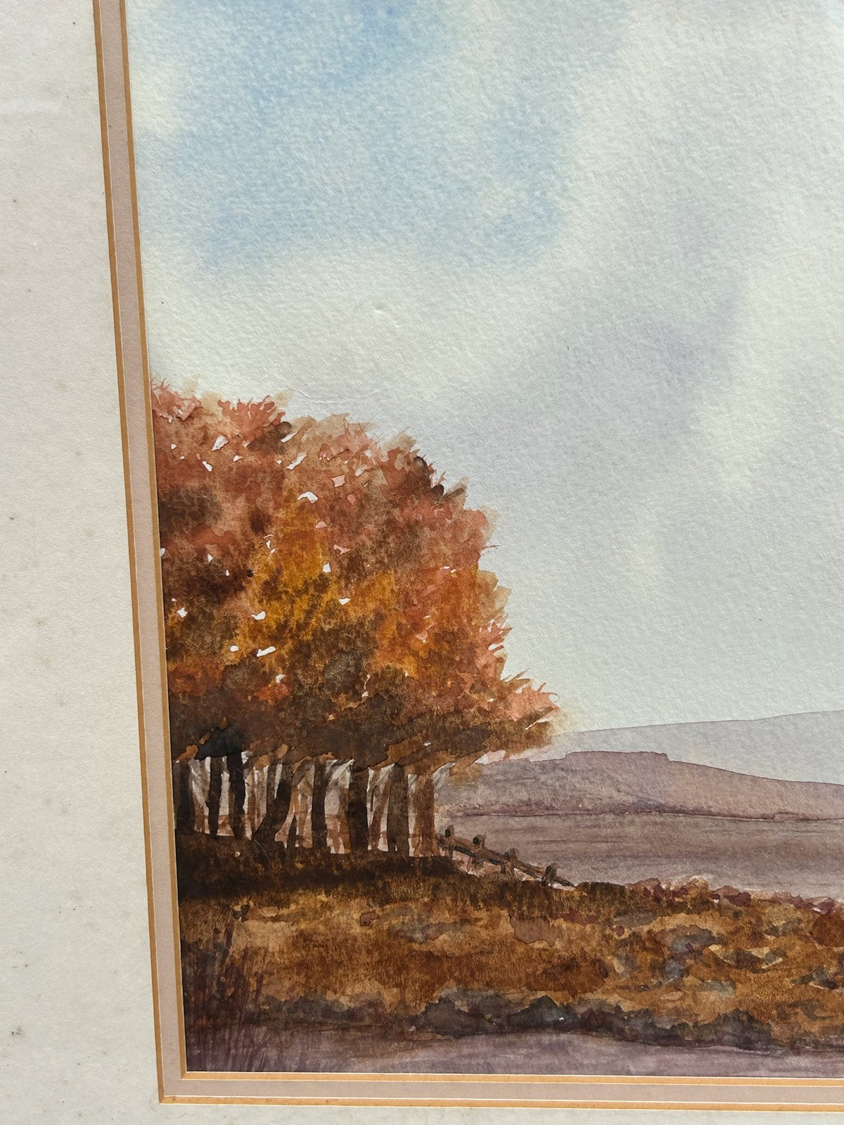 Chris Hardwick "Autumn Morning" Watercolour Hertsmere Society of Art6
