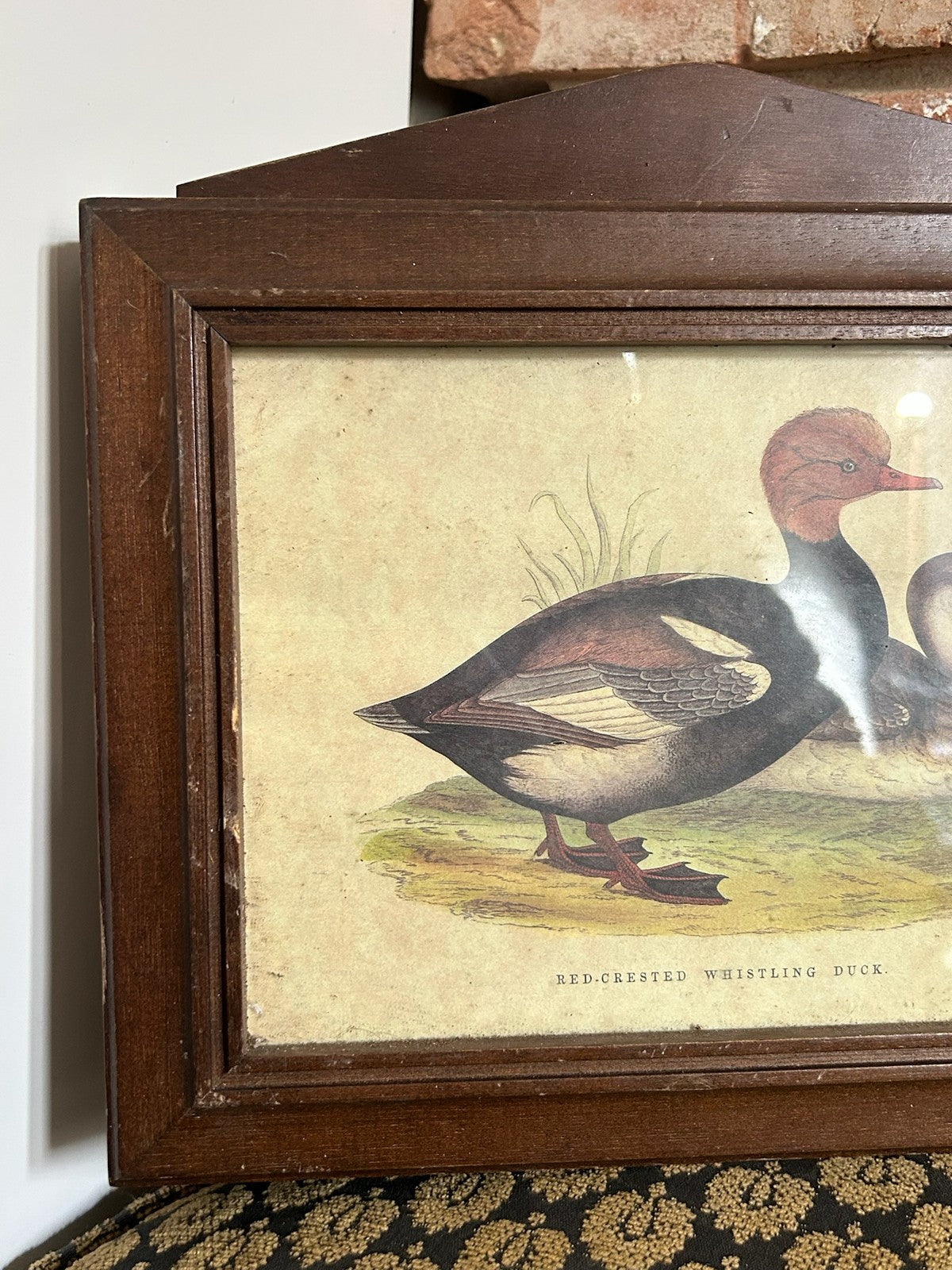Vintage Italian Handmade Wooden Wall Cabinet Red Crested Whistling Duck Print2